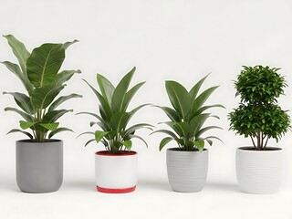 Four potted plants with different leaf shapes and colors in modern containers indoor plants