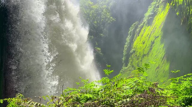 Blawan Waterfall around the Kawa Ijen Crater, hidden in the tropical jungle, East Java, Indonesia. A picturesque view of a powerful waterfall surrounded by sharp rocks covered with moss and plants. 4К