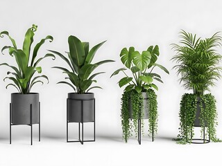 Four Green Plants in Black Metal Planters on Stands black planters metal stands indoor plants