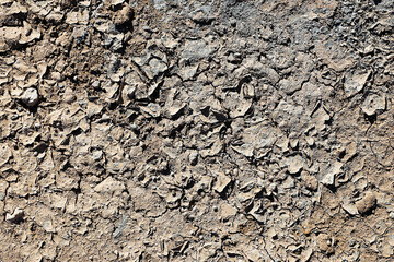 Dry cracked ground texture background. Rough soil surface pattern. Natural earth detail closeup. Brown dusty terrain. Arid land abstract backdrop. Organic nature structure. Weathered surface look.