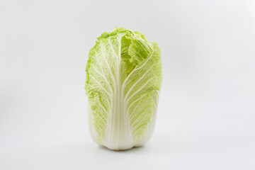 白菜 生野菜 白背景