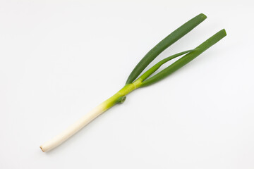 ネギ 生野菜 白背景