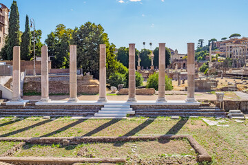 A view of the columns of the Imperial forum in Rome