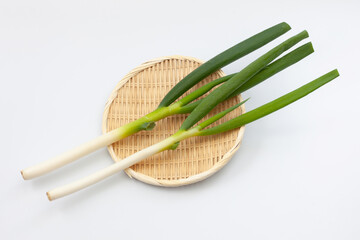 ネギ かご 白背景