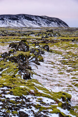 Fototapeta premium A rugged Icelandic landscape of mossy lava fields and fresh snow stretches toward distant mountains, capturing the raw beauty and quiet mood of the highlands.