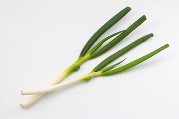 ネギ 生野菜 白背景