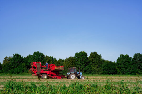 potato harvester works in the field side view