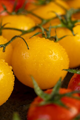 wet round fresh and sweet tomatoes of red and yellow color on the table, yellow tomatoes with dots on the peel, a large number of freshly picked tomatoes covered with drops of water