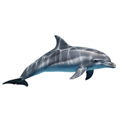 Fototapeta premium Dolphin illustration isolated on transparent background isolated on transparent background
