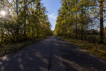 road with bumps and damage in the autumn of the year in the evening, a landscape on a rural highway with trees growing on the side of the road during leaf fall