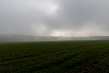 autumn gray sky covered with thick clouds and fog that slowly dissipates from sunlight, dreary gray sky and thick fog that obscures the view