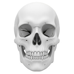 Obraz premium Human skull frontal view isolated on transparent background isolated on transparent background