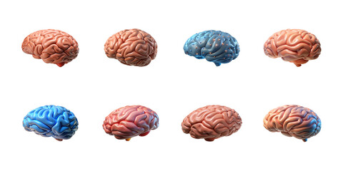 Collection of realistic 3d human brain models depicting neurological health and abstract thinking concepts on transparent background