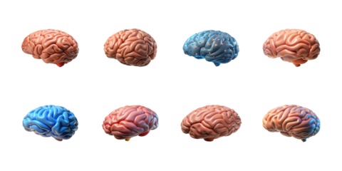 Collection of realistic 3d human brain models depicting neurological health and abstract thinking concepts on transparent background