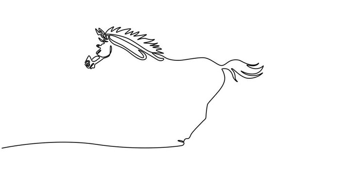 horse continuous one line drawing animation, Self drawing line animation Horse logo continuous line concept, Self drawing animation of continuous line running horse. Animated one line illustration, 4K