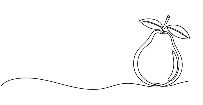 Animation of one line drawing half sliced healthy organic java guava for orchard logo identity. Fresh tropical fruit concept for garden icon. Continuous line self draw animated. Full length motion.4k