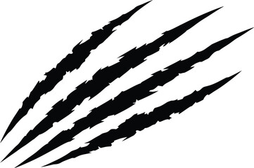 Four sharp claw marks