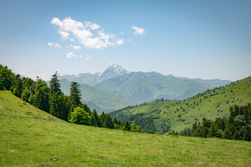 Breathtaking Mountain Meadow Scene With Green Hills, Trees, And Snowy Peaks In Distance