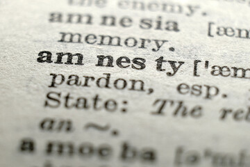 Dictionary macro featuring &ldquo;amnesty&rdquo;, concept for pardon, law, politics, conflict resolution and rights.