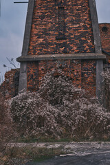 Abandoned industrial brick building with weathered walls and overgrown dry vegetation. Old factory ruins under a moody overcast sky, showcasing urban decay and historical architecture.