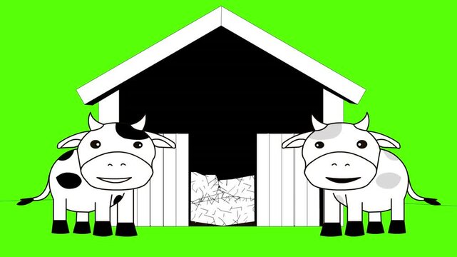 Animated video in Cartoon-style drawing with two cows and a barn in black and white on a green background, Christmas, art, 2D.