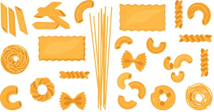 Dry pasta vector set featuring various Italian pasta shapes including spaghetti penne fusilli farfalle macaroni and lasagna noodles isolated.
