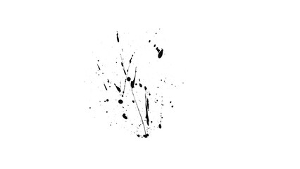 Intense Black Splatter Brush