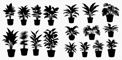 Set of various potted houseplant silhouettes, including tropical and ornamental plants, for interior decoration. © Akun