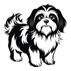 shih tzu line art silhouette vector illustration