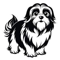 shih tzu line art silhouette vector illustration