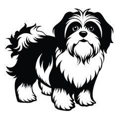 shih tzu line art silhouette vector illustration