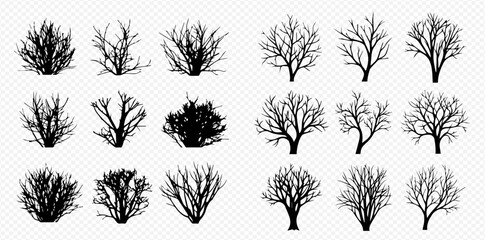 Set of bare trees and bushes silhouettes, black branches without leaves, natural elements for design.