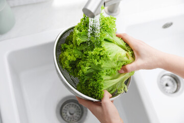 Woman washing lettuce in sieve at sink, closeup