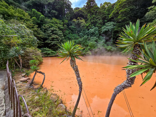 Hell's hot springs Beppu, Japan
