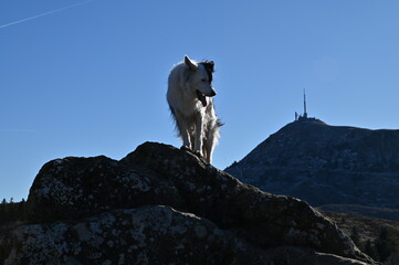 puy de Clierzou