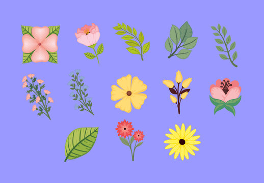 Colorful Flowers Leaves Nature Botanical Illustration Set