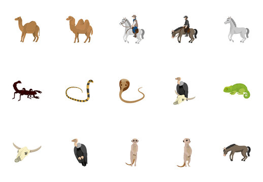 Colorful Wild West Animals Illustrations Set