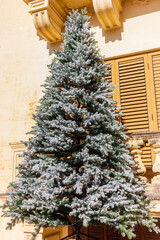 Frosted Christmas Tree Outdoors Against a Classic Stone Building With Wooden Shutters