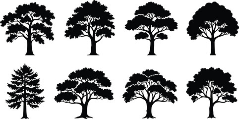 Eight Black Silhouette Trees with Dense Foliage on White Background dark
