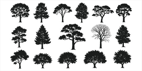 Fifteen black silhouettes of diverse trees with full foliage and bare branches on white Keywords: tree, trees, silhouette, black