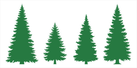 Four Green Pine Tree Silhouettes of Varying Heights on White Background fir tree evergreen