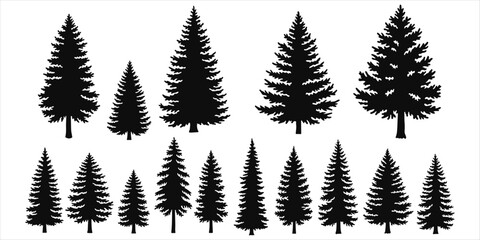 Group of black silhouettes of various sizes and shapes of pine trees Keywords: tree, trees, pine, fir, spruce, silhouette, black