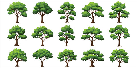 Set of fifteen diverse green deciduous trees with full leafy canopies vector illustration