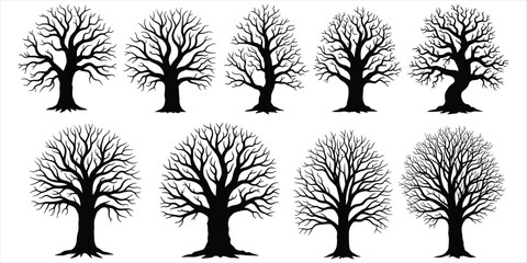 Ten black silhouettes of bare deciduous trees with intricate branches on white nature