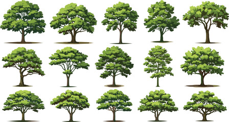 Variety of Lush Green Deciduous Trees with Detailed Foliage Keywords: tree, deciduous, green, lush, foliage, leaves, branches