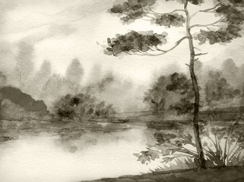 Watercolor landscape. Pine tree by the lake