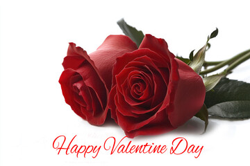 Happy valentine day roses isolated on white background