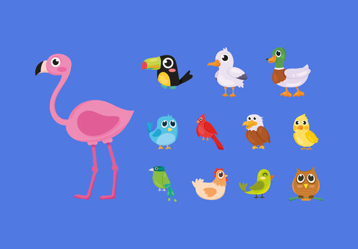 Colorful Cute Birds Animal Nature Icons Set