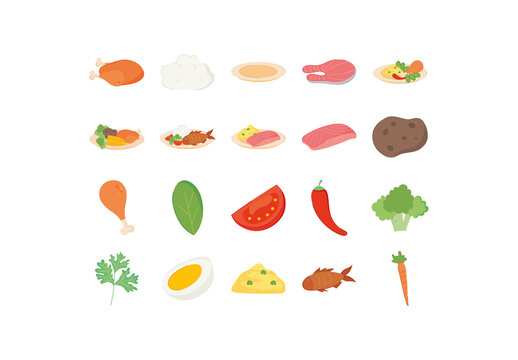 Colorful Bright Healthy Meal Illustration Set