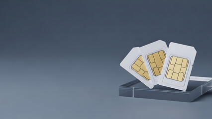Three SIM card carriers displayed on a minimal gray background, representing global mobile connectivity and data service